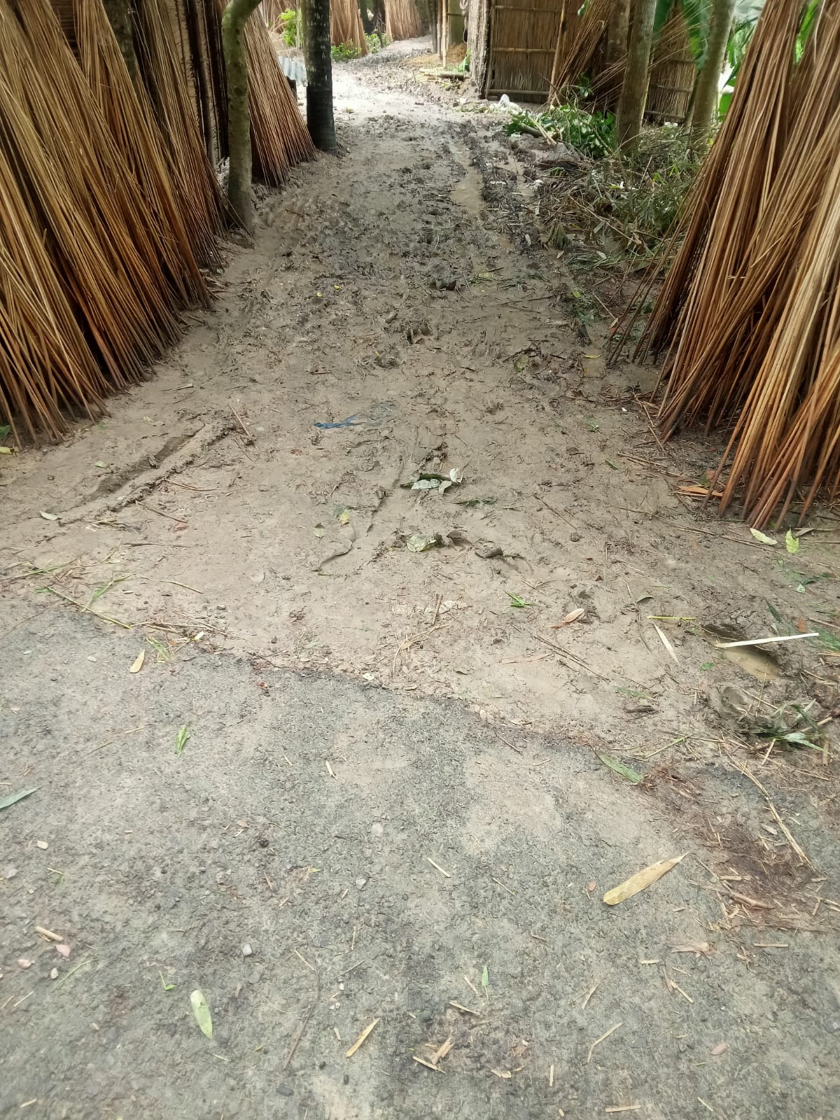 সূযমনি পাকা রাস্তা হইতে নান্নু চৌধুরীর বাড়ি পর্যন্ত রাস্তা পুন নির্মান। ( ১% রাজস্ব)