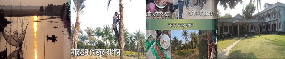 উত্তর বোচাপুকুর মোহন ইক্ষু খামার খেজুর বাগান।