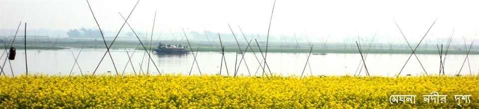 মেঘনা নদী