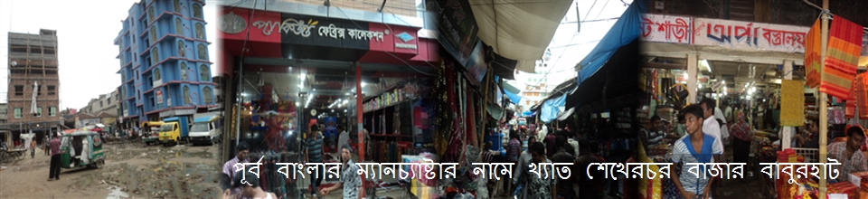 শেখেরচর বাজার বাবুর হাট