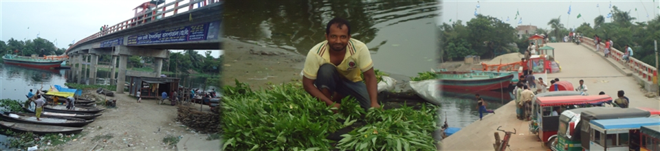 ত্রিমোহনী আদর্শ উচ্চ বিদ্যালয়