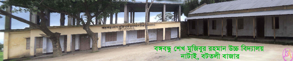 বঙ্গবন্ধু শেখ মুজিবুর রহমান উচ্চ বালিকা বিদ্যালয়