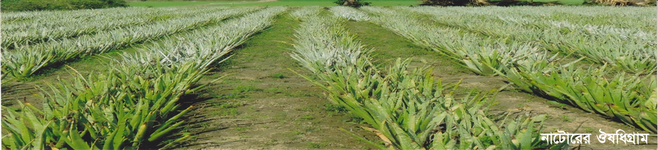 নাটোরের ঔষধিগ্রাম