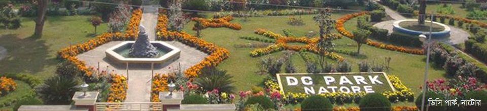 ডিসিপার্ক, নাটোর