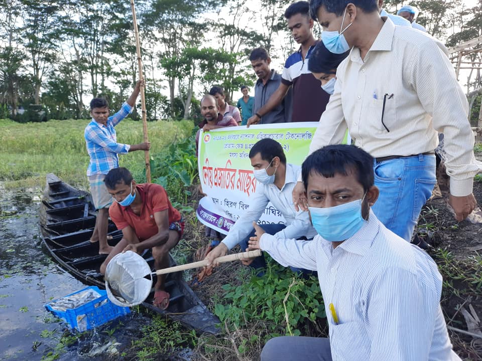Dharam Beel, Barhatta