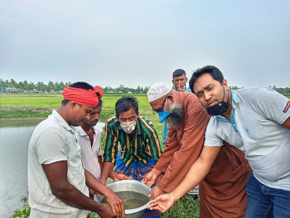 পাবনা জেলার ফরিদপুর উপজেলার রুহুল বিলে অবমুক্ত রেণু পোনা পর্যবেক্ষণ