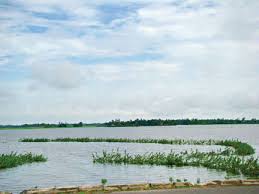 বিল ব্যবস্থাপনা