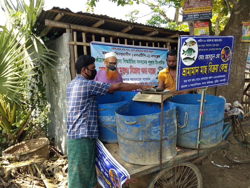 Puthia Mobile Fish Market