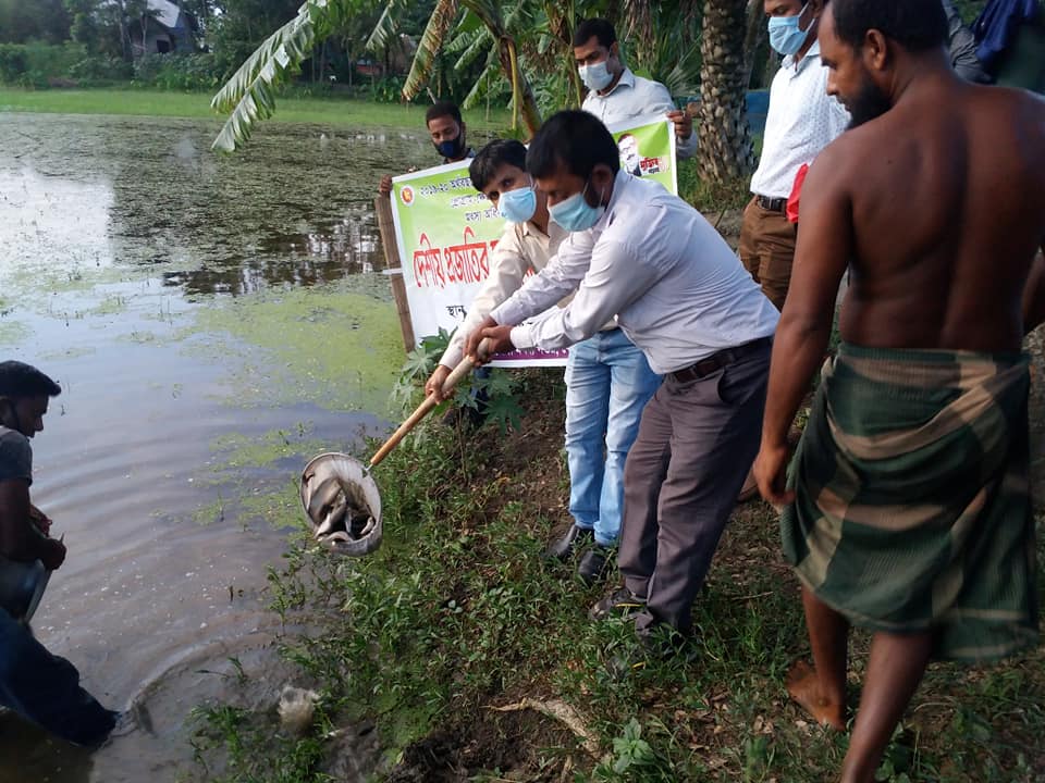 Heron Beel, Kotalipara