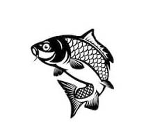 মাঠ পর্যায়ে কার্যক্রম