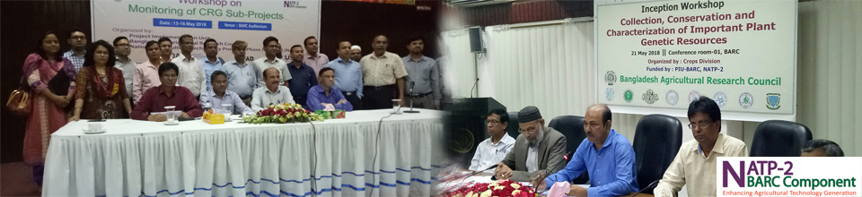 পিবিআরজি