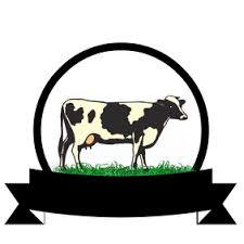 এনএটিপি-২ ডিএলএস লিফলেট