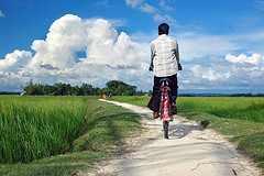 ইউ আই এসসি ছবি