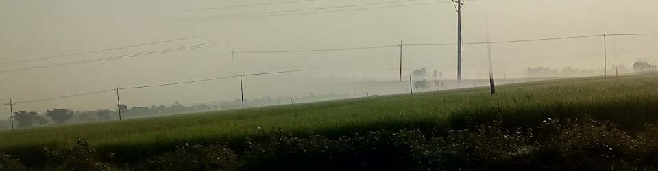 প্রকৃতি
