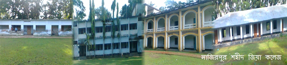 নাজিরপুর কলেজ