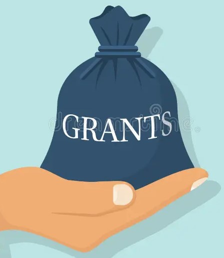 বেসরকারি গ্রন্থাগারে অনুদান