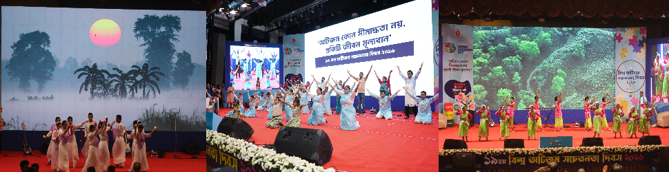 অটিজম (সাংস্কৃতিক)