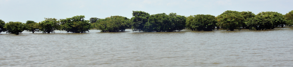 নেত্রকোণার হাওড়