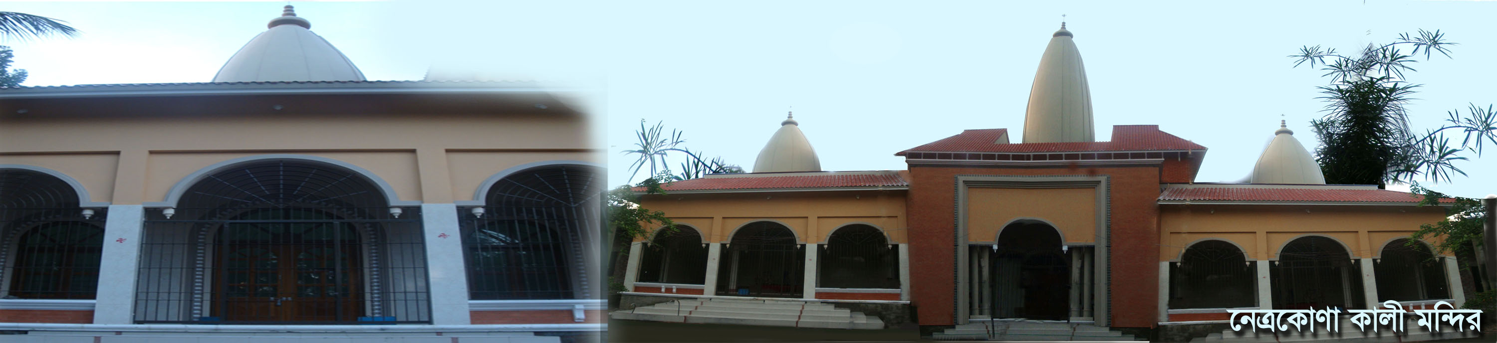 নেত্রকোণা কালী মন্দির