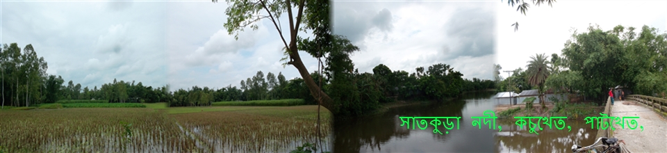 সাতকুড়ার পাড়