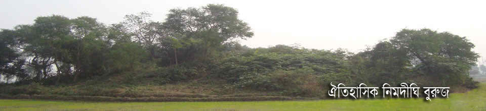 ঐতিহাসিক নিমদিঘী বুরুজ