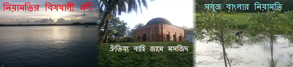 রূপসী বাংলার এক অংশ এই নিয়ামতি, তারই প্রতিচ্ছবির সুন্দর্য়্যের ঝলক