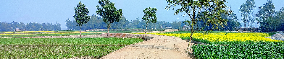 গ্রামের মেঠো পথ