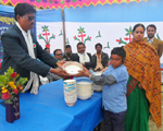 ফটো গ্যালারী