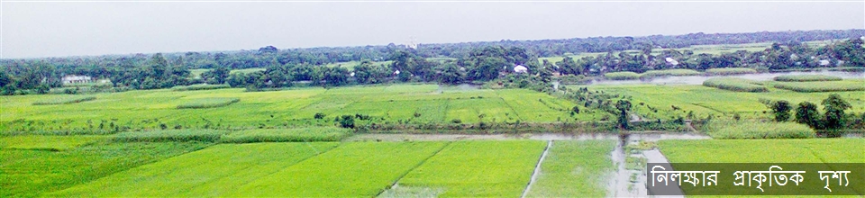 নিলক্ষা ইউনিয়ন