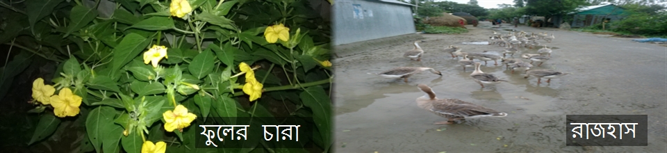 নিলক্ষা ইউনিয়ন