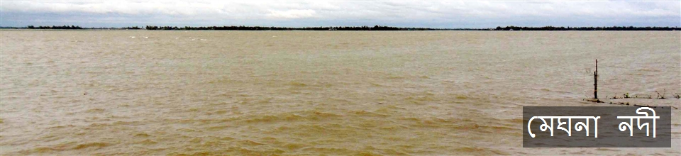 নিলক্ষা ইউনিয়ন