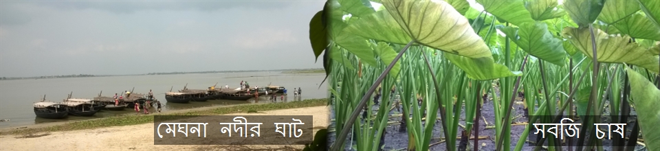 নিলক্ষা ইউনিয়ন