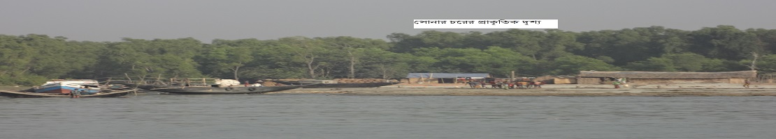 সোনার চর