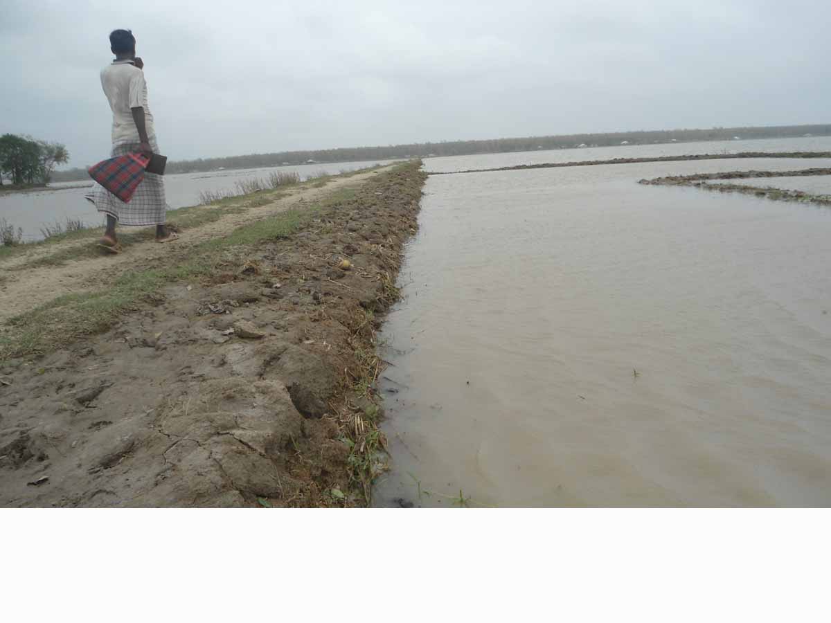 প্রাকৃতিক দৃশ্য