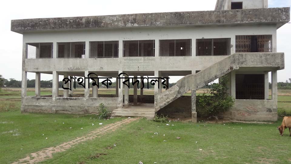 প্রাথমিক বিদ্যালয়
