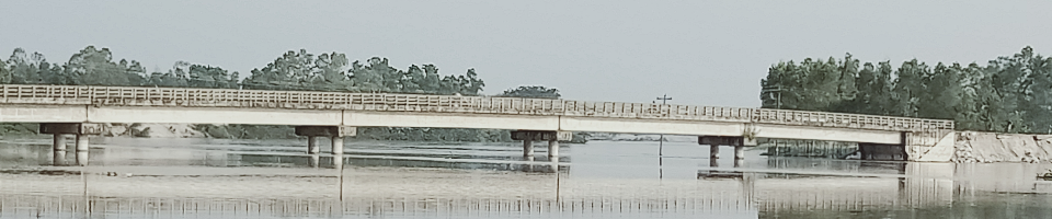 মুশরুত পানিয়ল পুকুর, বেলতলী ব্রিজ