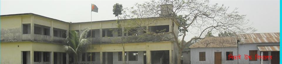 নিতাই উচ্চ বিদ্যালয়