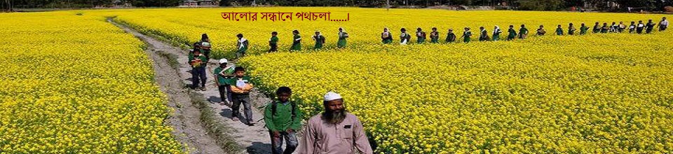 আলোর সন্ধানে পথচলা