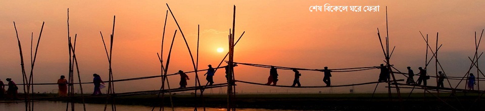 শেষ বিকেলে ঘরে ফেরা