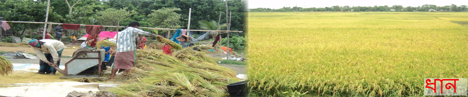 কৃষি ও প্রণিসম্পদ