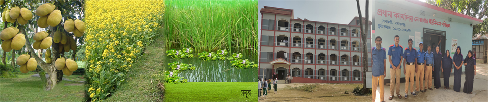 নোয়াগাঁও ইউনিয়ন