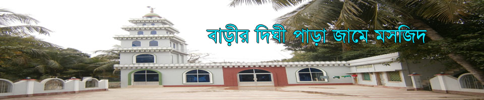 বাড়ী দীঘির পাড়া জামে মসজিদ