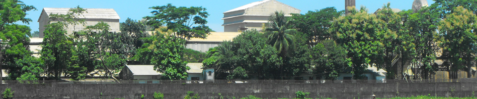 নোয়ারাই ইউনিয়ন