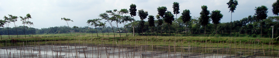 নোয়ারাই ইউনিয়ন