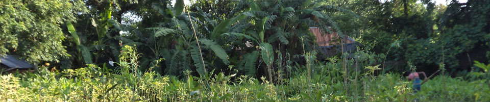 ৫নং নোয়ারপাড়া ইউনিয়ন পরিষদ