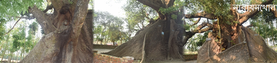 নারায়নখোলা