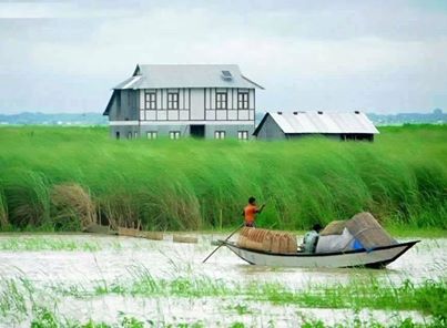 গ্রাম অঞ্চলের দৃশ্য