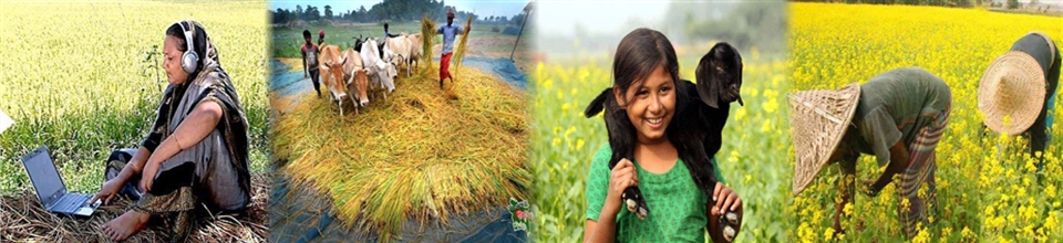 রুপসী বাংলার রুপ দেখুন এক নজরে (গ্রাম বাংলার অপুর্ব সৌন্দর্য)