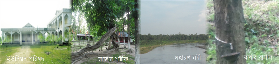ব্যানার