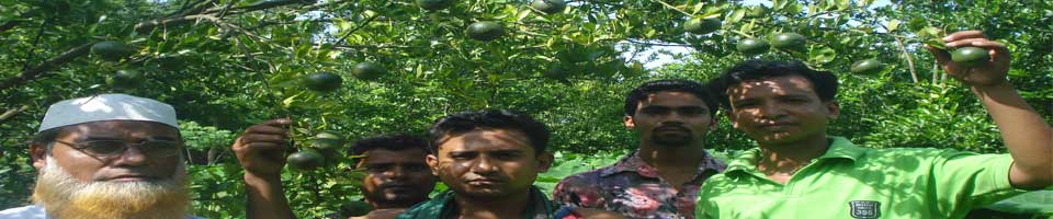 নন্দুয়ার ইউনিয়ন